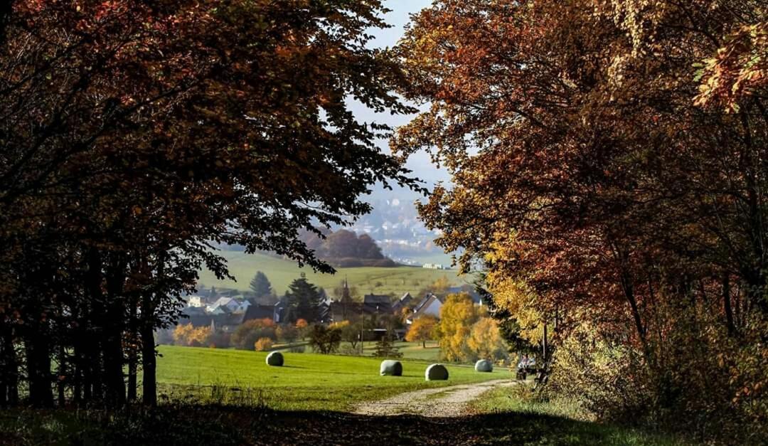 Ferienwohnung Alpaka Blick Schneppenbach Luaran gambar