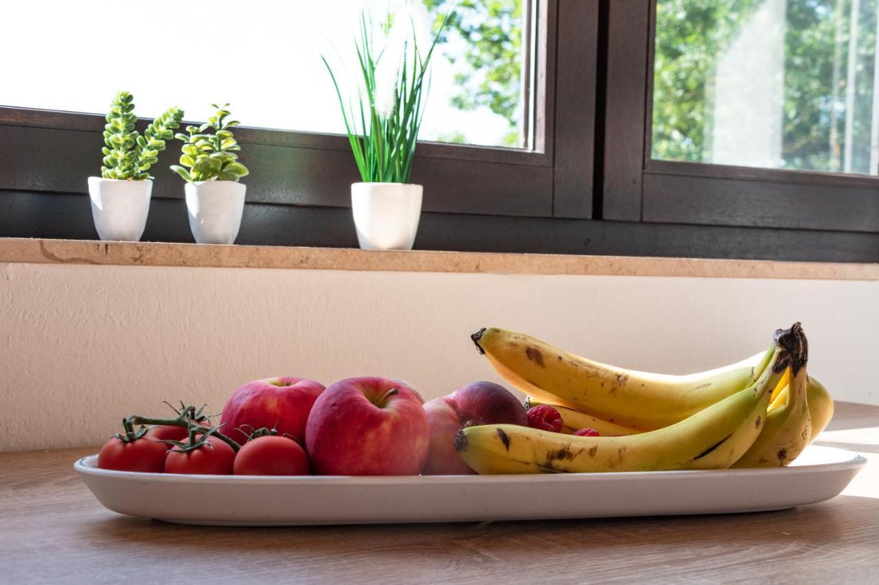 Ferienwohnung Alpaka Blick Schneppenbach Luaran gambar